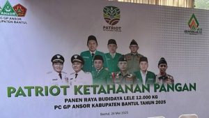 Konferensi Cabang ke-15 GP Ansor Bantul Siap Digelar, Panen Raya Lele Jadi Sorotan Pembuka