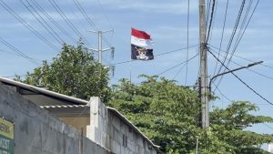 Pakar Hukum UII: Negara Tak Bisa Pidanakan Pengibar Bendera One Piece