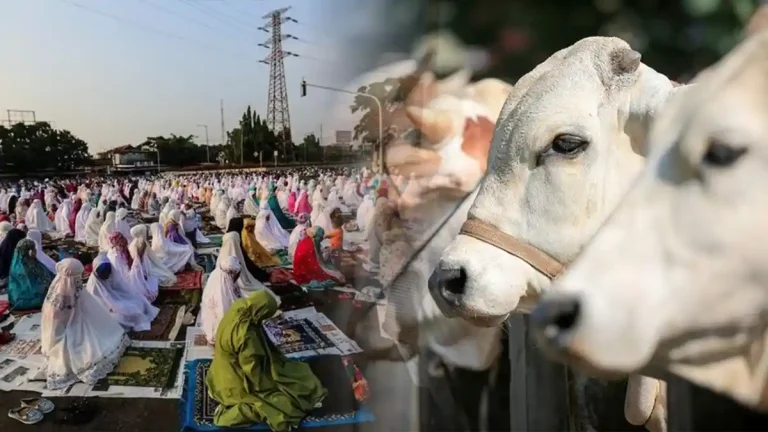 Beli Tiket Konser 3 Juta Kuat, Patungan Kambing Kurban 3 Juta Bilang “Gak Ada Budget”: Menakar Skala Prioritas Iman Kita