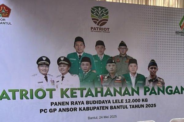 Konferensi Cabang ke-15 GP Ansor Bantul Siap Digelar, Panen Raya Lele Jadi Sorotan Pembuka